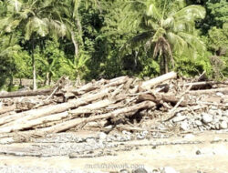 Mendagri Izinkan Warga Gunakan Kayu Gelondongan untuk Bangun Kembali Rumah