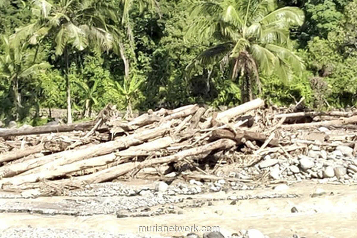 Mendagri Izinkan Warga Gunakan Kayu Gelondongan untuk Bangun Kembali Rumah