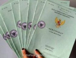 Girik di Laci? Segera Urus Sertifikat Sebelum Status Tanah Diambil Alih Negara