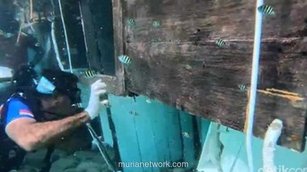 Jenazah Ditemukan di Bangkai Pinisi yang Tenggelam di Perairan Komodo