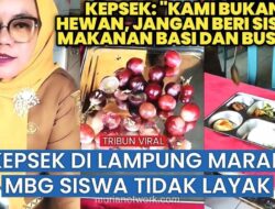 Kepala Sekolah Lampung Murka, Tempe dan Anggur Busuk Ditemukan di Menu Gizi Gratis