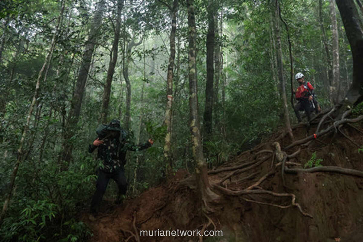 Enam Jenazah Korban Kecelakaan Pesawat di Gunung Bulusaraung Ditemukan