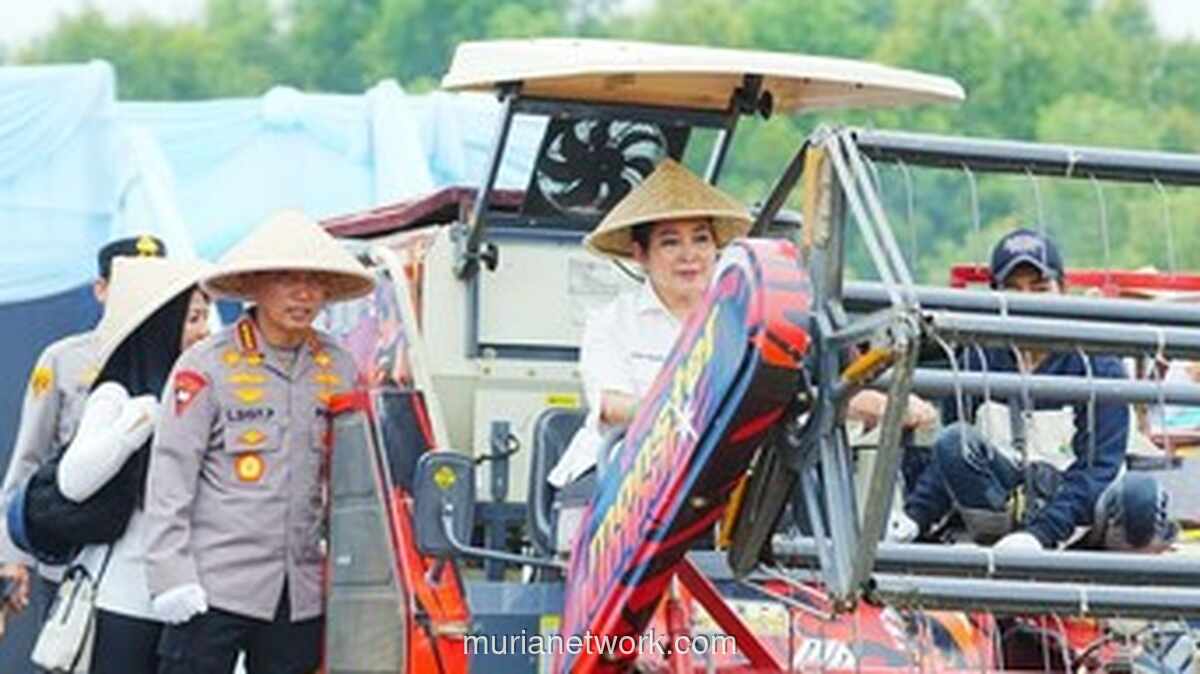 Polri Panen 3,5 Juta Ton Jagung, Dukung Target Swasembada Presiden