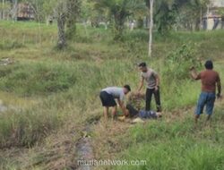 Ibu Cari Rumput di Waduk Tarakan Diserang Buaya, Diselamatkan Polisi