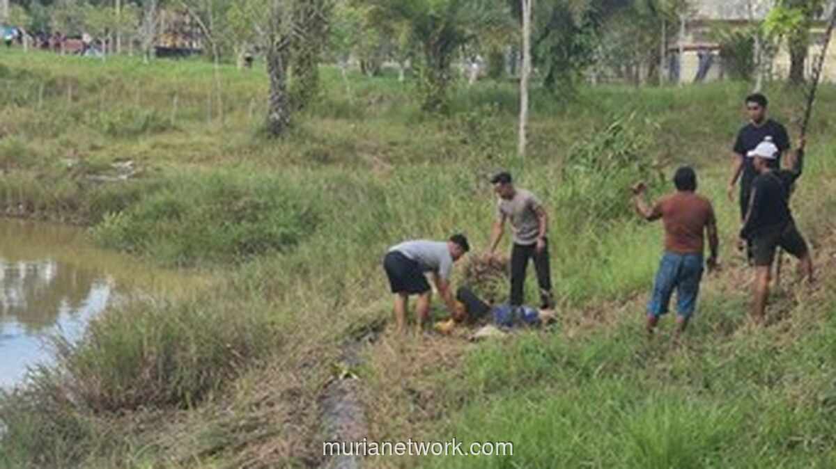 Ibu Cari Rumput di Waduk Tarakan Diserang Buaya, Diselamatkan Polisi