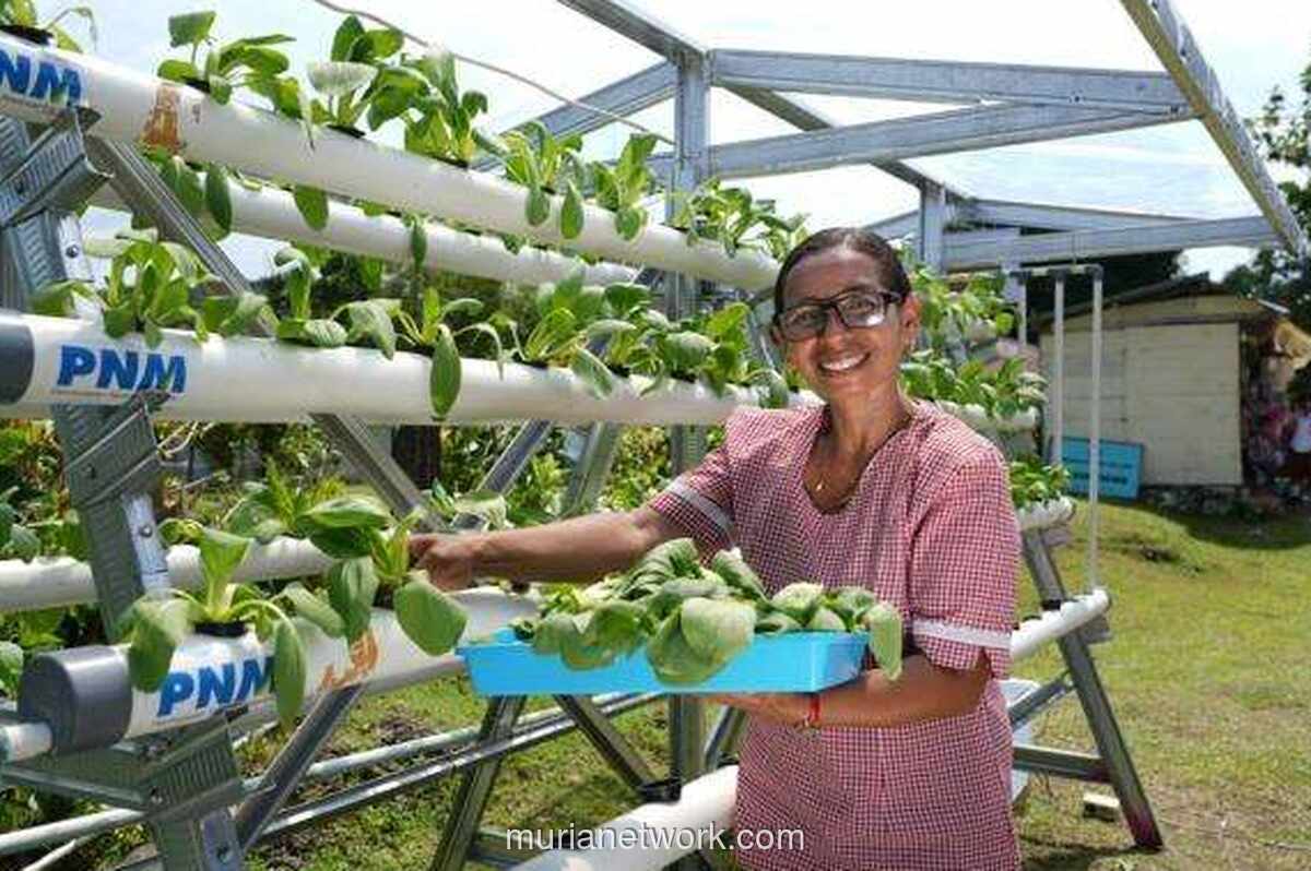 Dari Warung ke Kelas: Kisah Ibu Selly Menyalakan Sekolah Gratis di Saparua