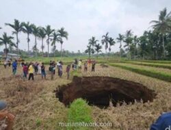Kawah Raksasa Tiba-tiba Menganga di Tengah Sawah Situjuah Batua