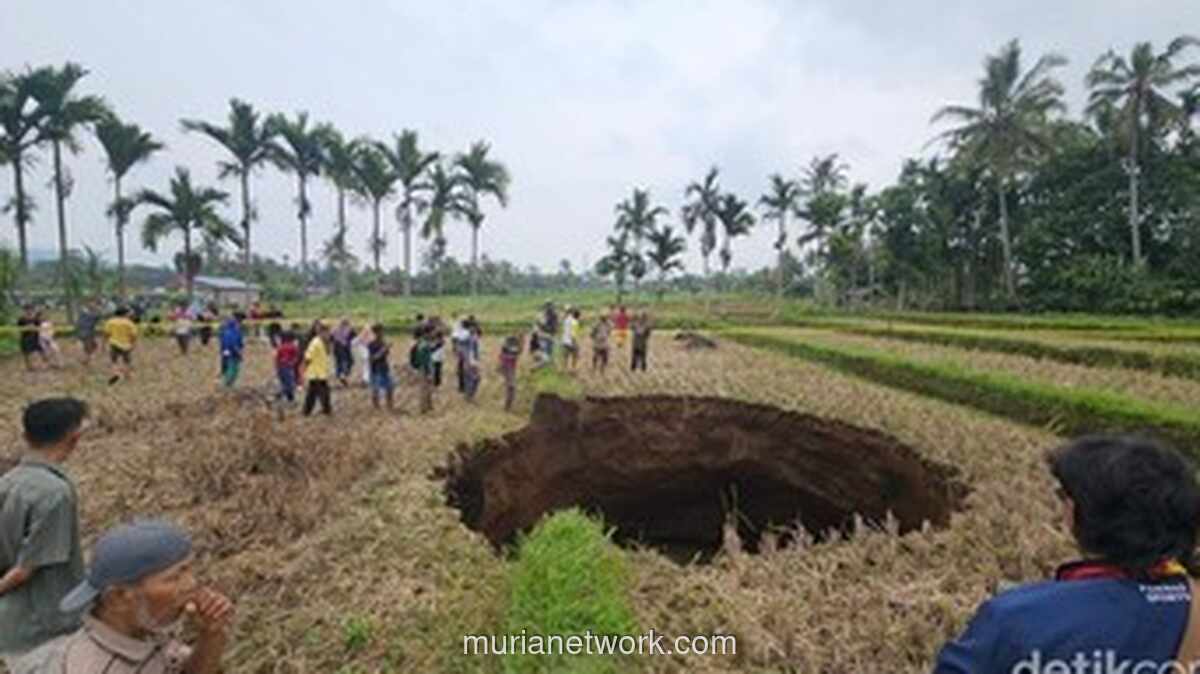 Kawah Raksasa Tiba-tiba Menganga di Tengah Sawah Situjuah Batua