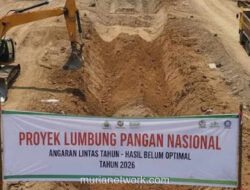Anggaran 2025 untuk Lumbung Pangan 2024: Praktik Cepat Saji yang Mengundang Tanda Tanya