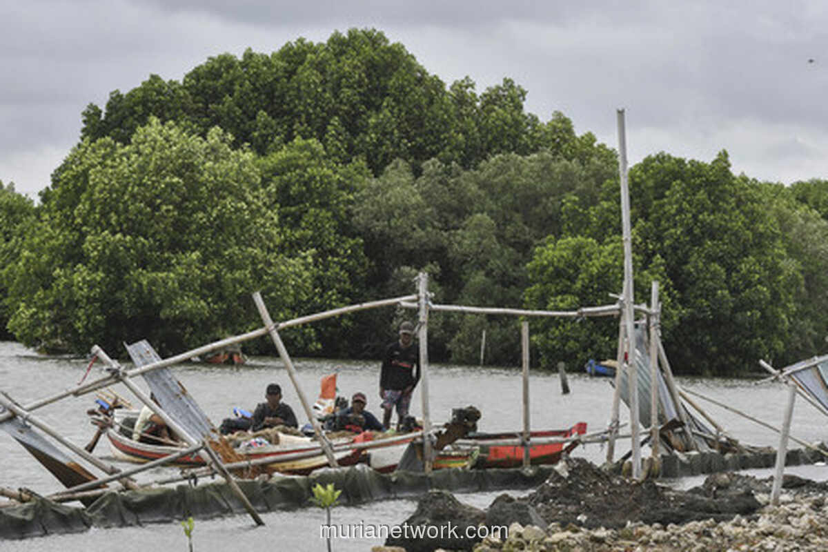 Lanskap Terlalu Ringkih, KLHK Buru-buru Evaluasi Tata Ruang di 5 Provinsi