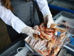 Sertifikat SMKHP Buka Pasar Global, Selamatkan Ekspor Udang Rp 63 Miliar