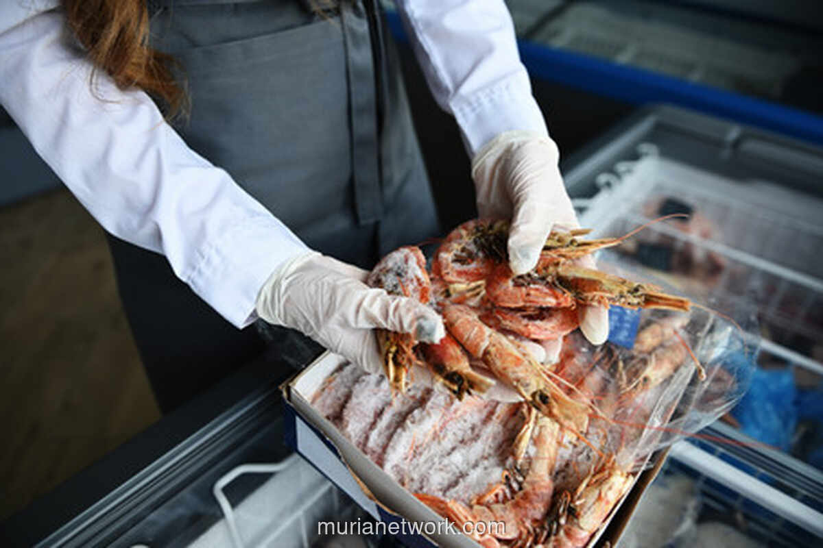 Sertifikat SMKHP Buka Pasar Global, Selamatkan Ekspor Udang Rp 63 Miliar