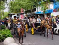 Di Balik Ramainya Malioboro, Kusir Andong Masih Rindu Masa Kejayaan