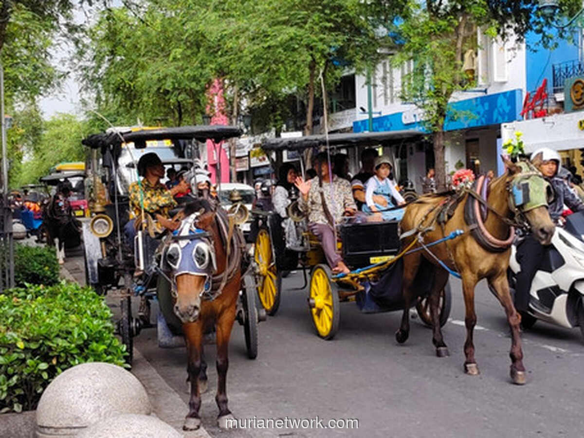 Di Balik Ramainya Malioboro, Kusir Andong Masih Rindu Masa Kejayaan