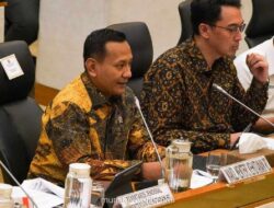 Target 12 Juta Hektar: Pemerintah Pacu Rehabilitasi Hutan hingga 2034