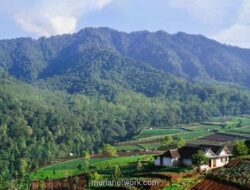 Zamrud Khatulistiwa yang Tersandera: Ketika Amanah Konstitusi Tergerus Eksploitasi