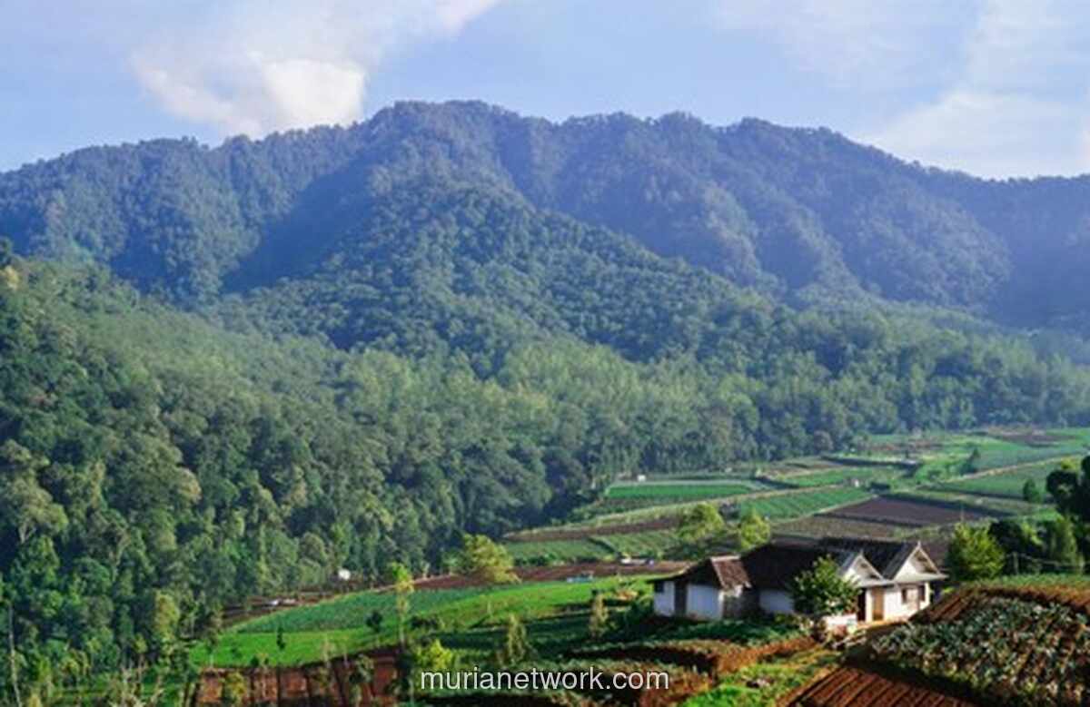 Zamrud Khatulistiwa yang Tersandera: Ketika Amanah Konstitusi Tergerus Eksploitasi