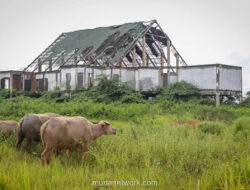 Islamic Centre Bekasi Terbengkalai 14 Tahun, Beralih Jadi Tempat Angker