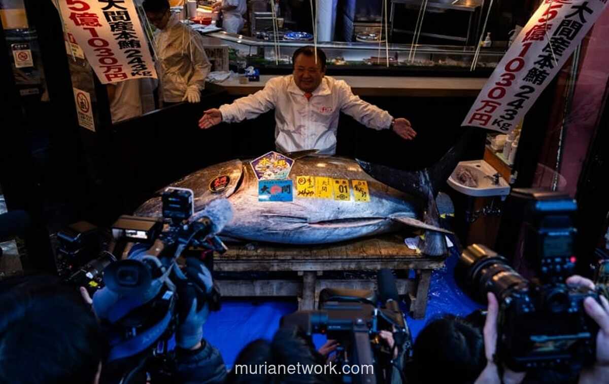 Raja Tuna Jepang Rogoh Rp54,6 Miliar Demi Ikan Pembuka Tahun Baru