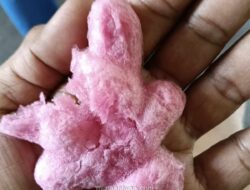 Heboh Es Kue Jadul Kemayoran, Polisi Pastikan Tak Ada Spons dalam Panganan