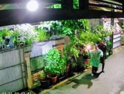 Polisi Selidiki Bom Molotov dan Teror Bangkai Ayam ke Rumah DJ Donny