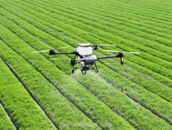 Dari Sawah ke Server: Lima Teknologi yang Merevolusi Ladang Modern