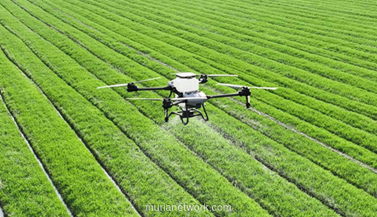 Dari Sawah ke Server: Lima Teknologi yang Merevolusi Ladang Modern