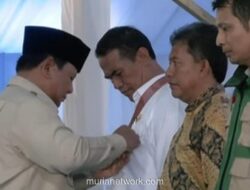 Presiden Beri Bintang Jasa di Tengah Hamparan Padi Menguning