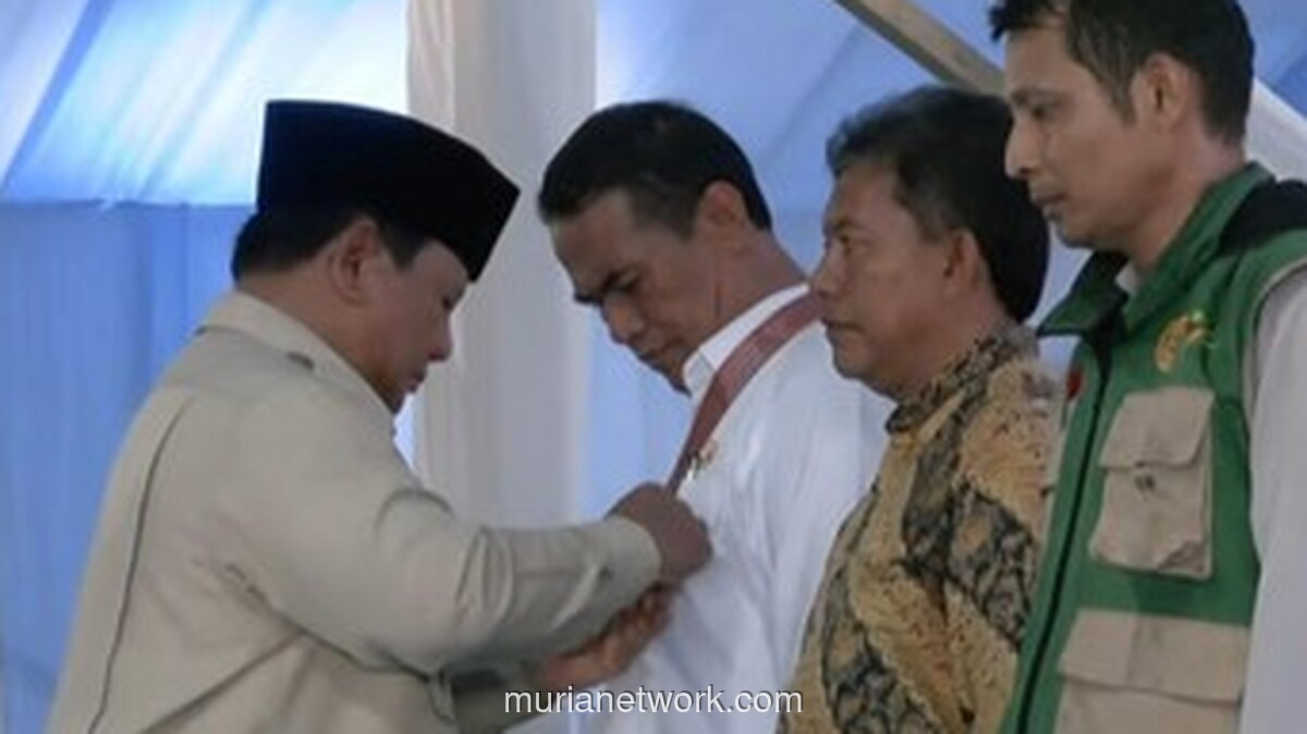 Presiden Beri Bintang Jasa di Tengah Hamparan Padi Menguning