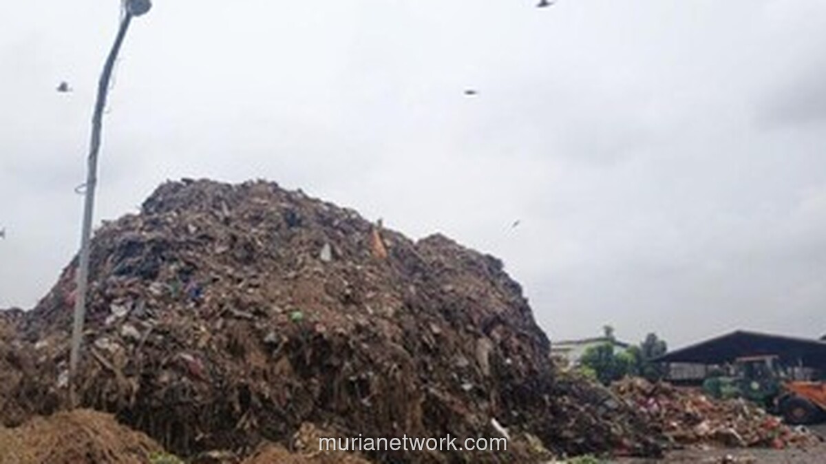 Warga Kramat Jati Berjuang Melawan Langganan Bau Sampah Pasar Induk