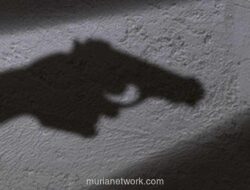 Minneapolis Bergolak Lagi, Petugas ICE Tembak Imigran Venezuela