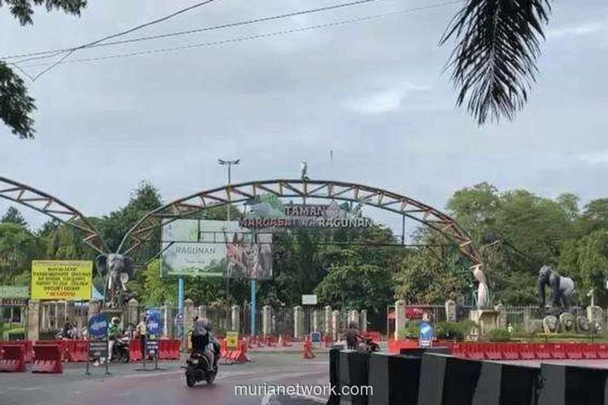 Ragunan Sepi Pagi Ini, Meski Libur Panjang Telah Tiba