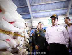Negara Maju Berbondong ke Indonesia, Belajar Rahasia Lumbung Pangan