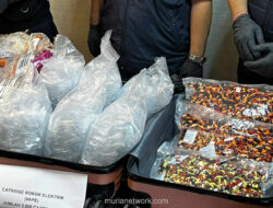 Modus Baru Vape Berisi Narkoba, BNN Gagalkan Peredaran Senilai Rp 18 Miliar