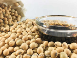 Kecap Manis: Dari Rempah Nusantara hingga Isu Kehalalan yang Mengintai