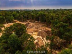 Izin Tambang dan Alih Fungsi Hutan Diduga Picu Banjir Besar di Sumatera