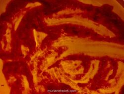 Diplomasi Prabowo di Tengah Badai Palestina dan Polemik Forum Trump