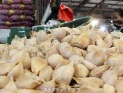 Bawang Putih Tembus Rp 100 Ribu per Kilo, BPS Ungkap Kenaikan di 208 Daerah