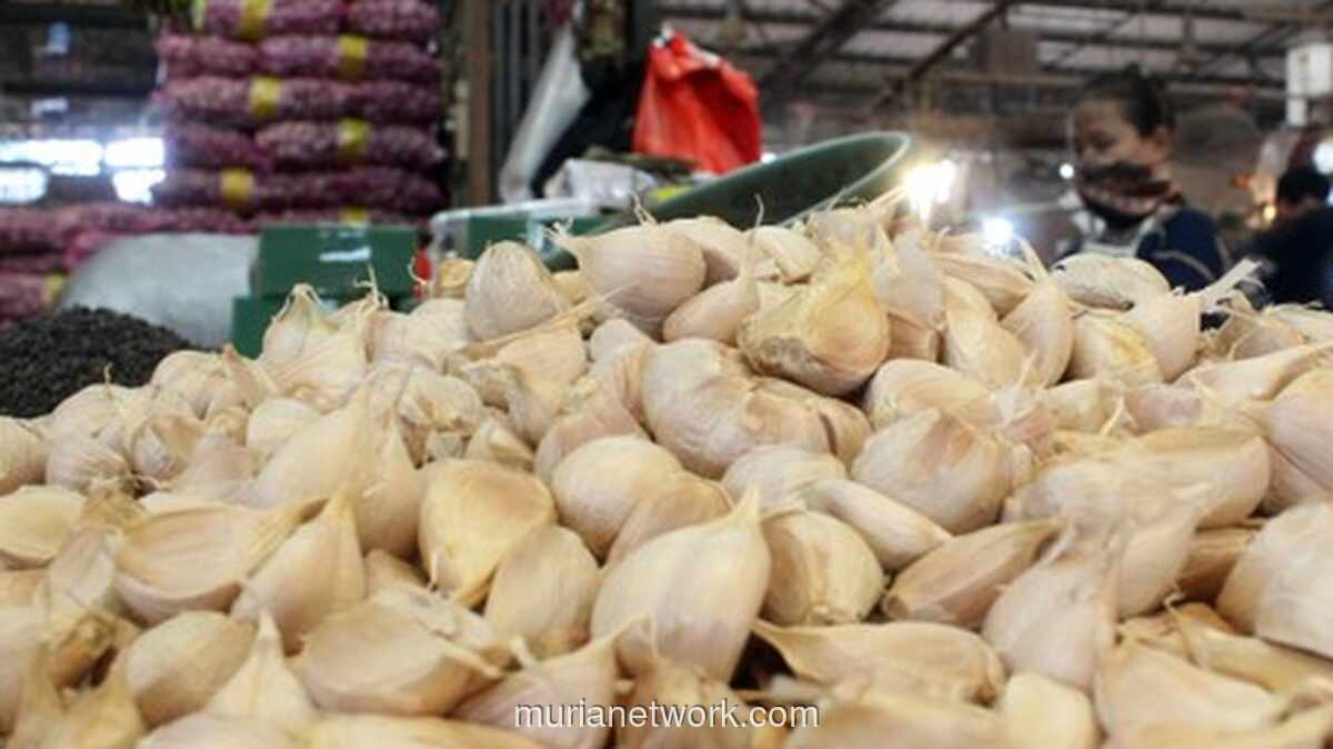 Bawang Putih Tembus Rp 100 Ribu per Kilo, BPS Ungkap Kenaikan di 208 Daerah