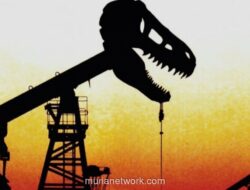 DEN Baru Dilantik, Mampukah Akhiri Paradoks Energi Indonesia?