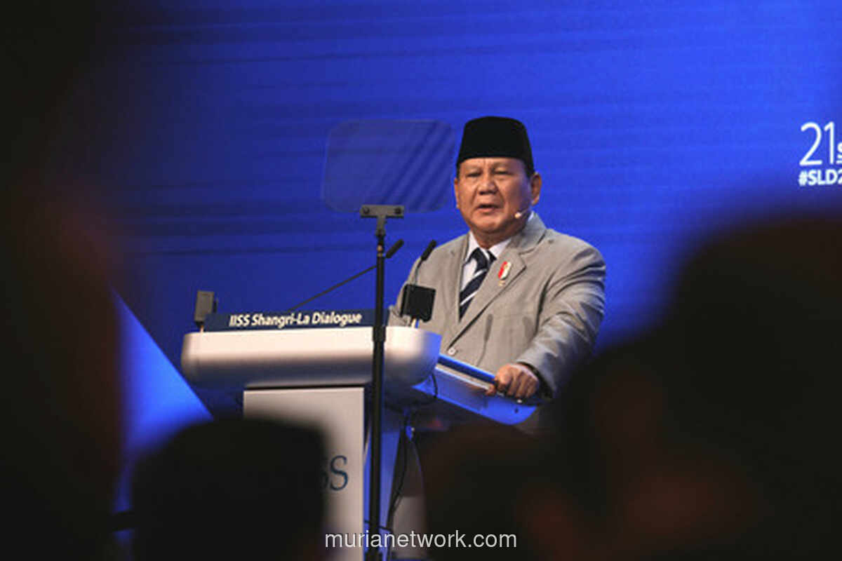 Prabowo dan Diplomasi Tanpa Lelah untuk Gaza