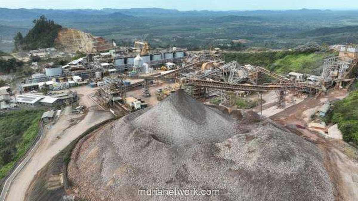 Pendapatan Tambang Melonjak, Asosiasi Desak Jaga Iklim Investasi