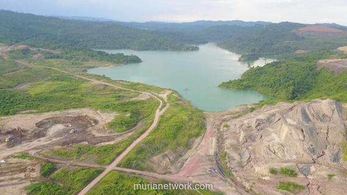 Prabowo Cabut Izin 28 Perusahaan di Kawasan Hutan Rawan Bencana