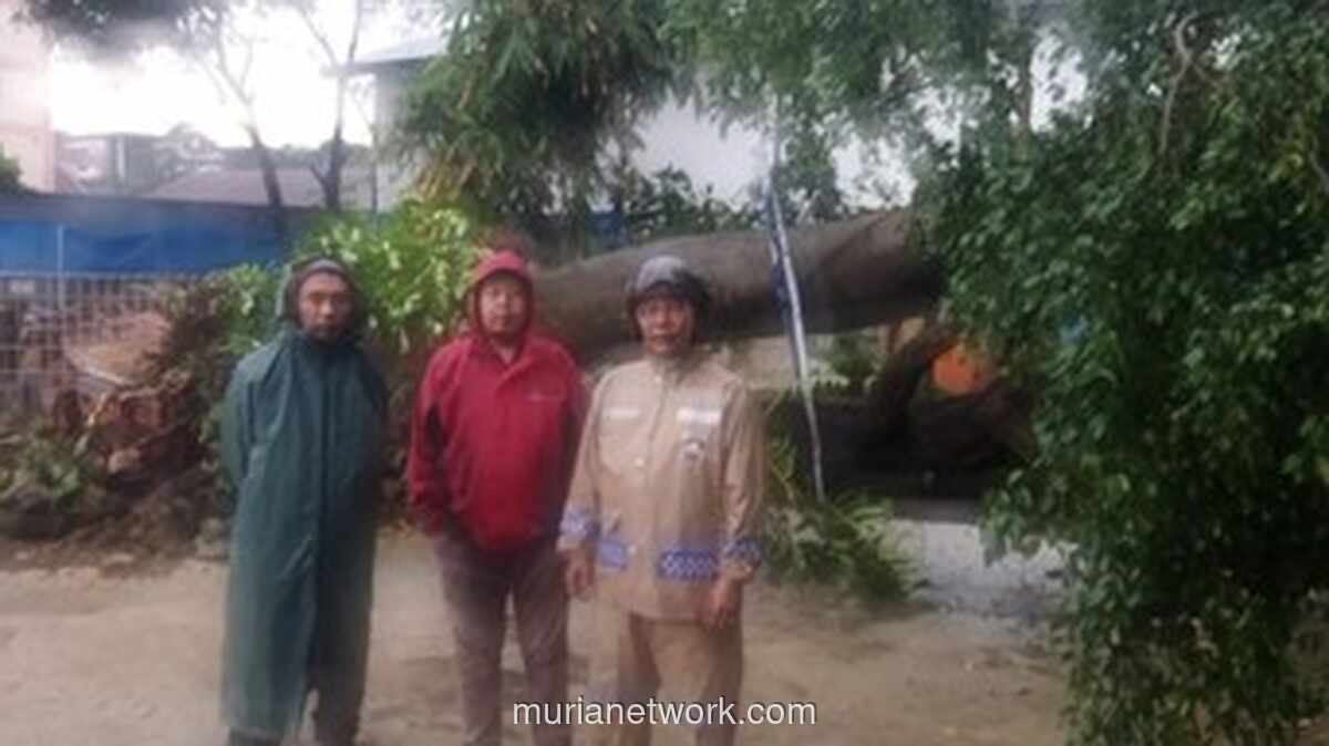 Beringin Raksasa Tumbang, Kolam Renang di Ciputat Timur Luluh Lantak