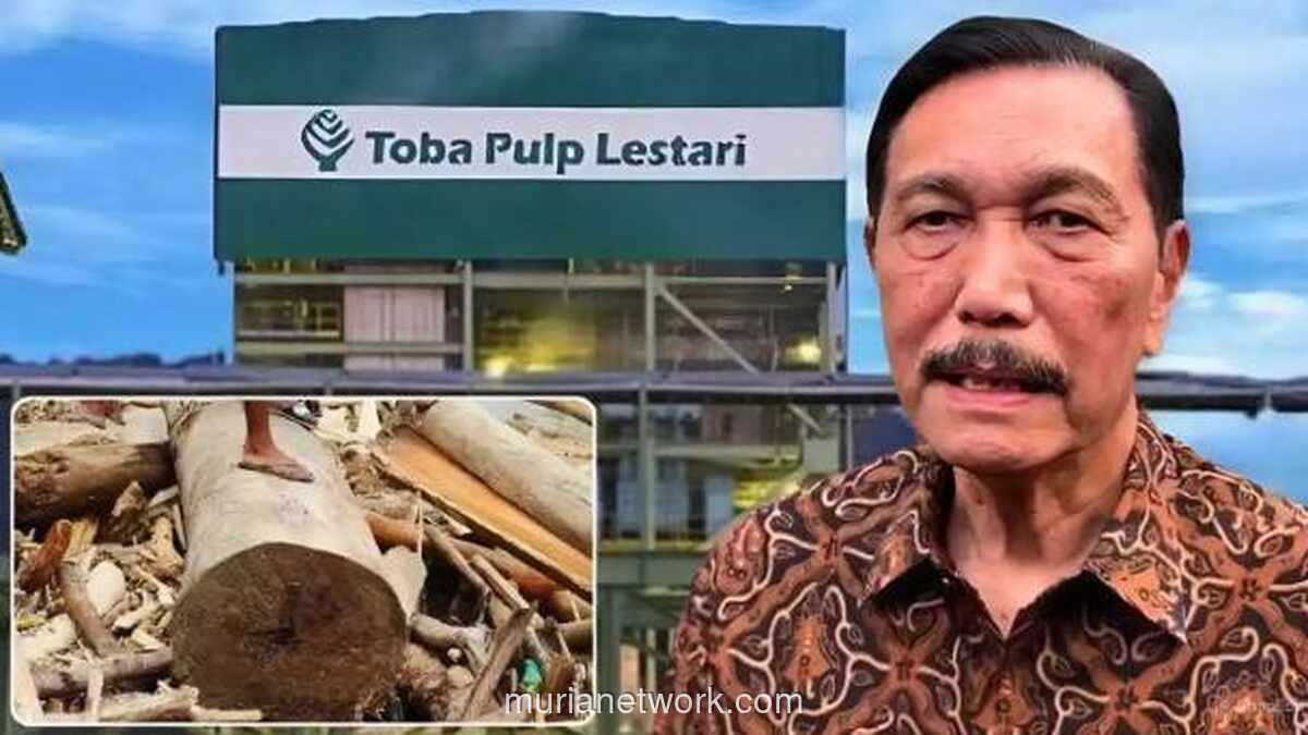 Banjir Tapanuli dan Sorotan Panas di Balik Nama Luhut