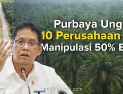 Laba Sawit Menguap ke Singapura, Indonesia Cuma Dapat Sisa