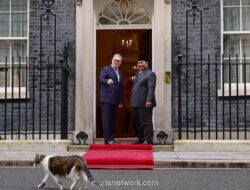 Chief Mouser Larry Curi Perhatian Saat Sambut Presiden Prabowo di Downing Street
