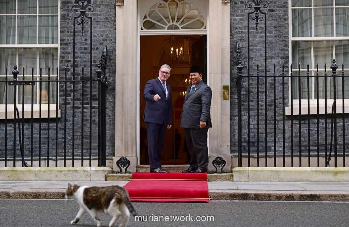 Chief Mouser Larry Curi Perhatian Saat Sambut Presiden Prabowo di Downing Street