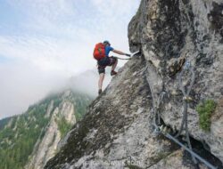 Mimpi Memanjat: Alarm Batin Saat Ambisi Tak Sejalan dengan Arah Hidup