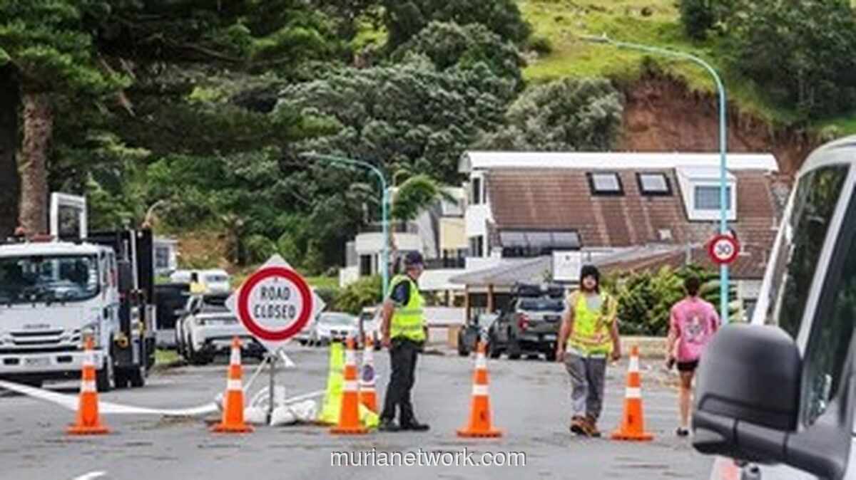 Suara dari Bawah Reruntuhan: Longsor Terjang Perkemahan di Selandia Baru